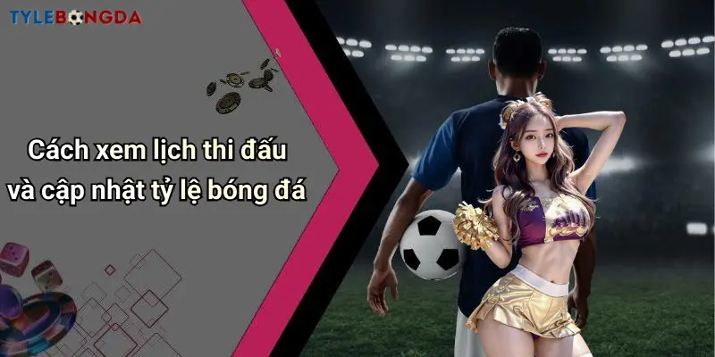 Cách xem lịch thi đấu và cập nhật tỷ lệ bóng đá