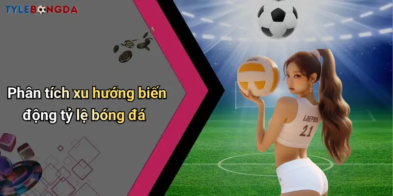 Phân tích xu hướng biến động tỷ lệ bóng đá