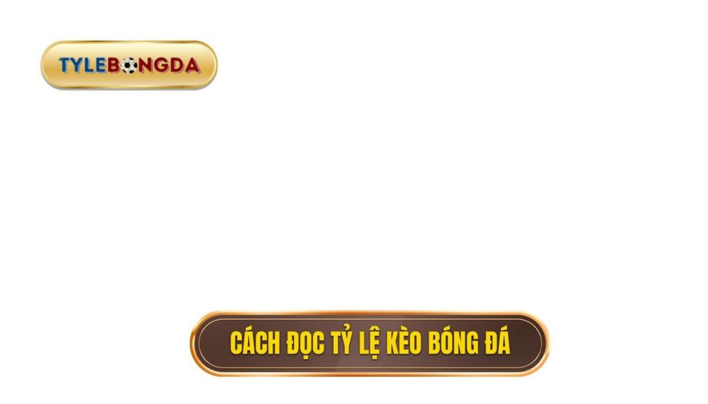 Cách đọc tỷ lệ kèo bóng đá